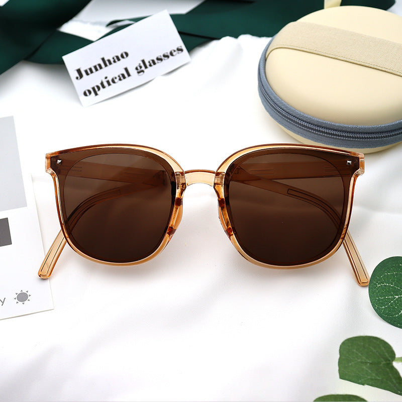 Gafas de Sol Plegables Retro
